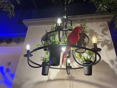 -血站大盘鸡(建设店)