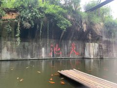 -千岛湖东南湖区