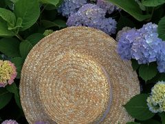 -常州古运河南大街文化旅游区-人民公园