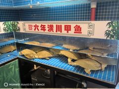-西郊竹园甲鱼面(老一中店)