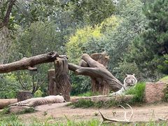 -北京野生动物园