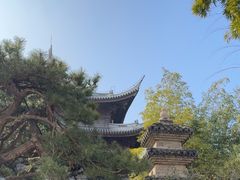 -龙华寺