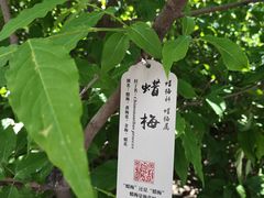 -丰台花园