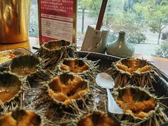 -月龍吟(朝龙汇店)
