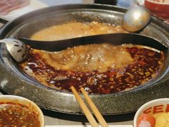 -生活如沸·顺德水牛奶火锅(大学路店)