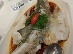 至潮飞鲈-至潮餐厅精致粤菜·活鲈鱼·走地鸡(珠江新城店)