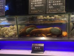 水产区-V-ONE西雅图海鲜自助餐厅(仓山万达广场店)