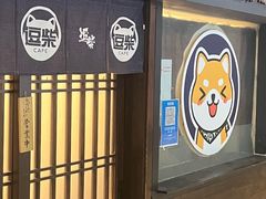 -逗柴咖啡屋·狗咖猫咖宠物桌游