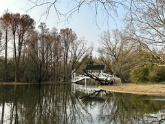 -上海共青森林公园