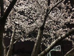 -同济大学四平路校区游泳馆