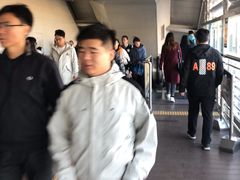 -望京西(地铁站)