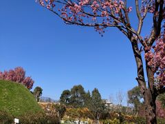 -云禾壹海景庄园餐厅