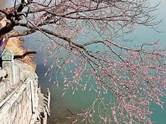 -颐和园