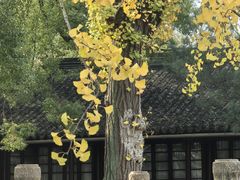 -西园戒幢律寺