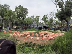 -武汉动物园