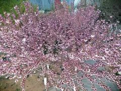 -西安创业咖啡街区