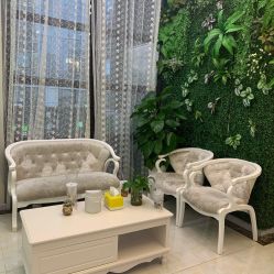 点击看大图 -苗医生草本科技祛痘