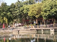 -蜀宴新村·柴火鸡(柏水店)