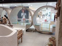 -红蕃干锅·脆皮香辣虾(南屏街金鹰店)