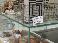 可颂-常识咖啡common sense(春熙路店)