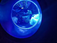 -太平洋海底世界