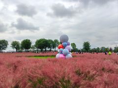 -汉长安城未央宫国家考古遗址公园