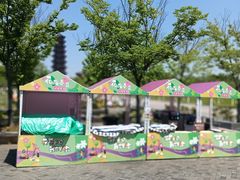 -江苏三台山国家森林公园