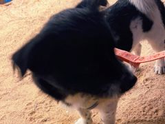 -DGE季风钓虾营地·团建·聚会