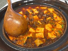 麻婆豆腐-眉州东坡(民族园店)