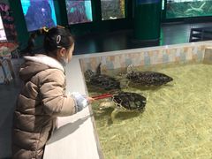 -常州海昌海洋探索馆