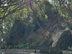 -金鸡山公园