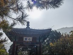 -香山公园