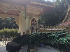 -西双版纳勐泐文化旅游区