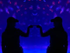 -多彩贵州城极地海洋世界