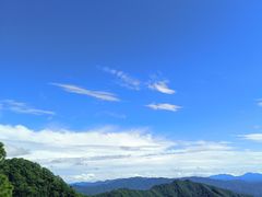 -王顺山国家森林公园