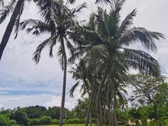 -三亚亚龙湾金棕榈度假酒店