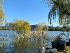 -济南国际园博园