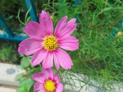 -北戴河圣蓝海洋公园