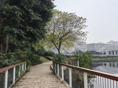 -棕榈泉国际花园1期