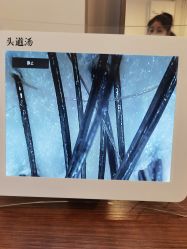 -SG头道汤养生馆