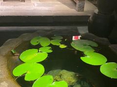 -31号公馆(黄兴广场白果园店)