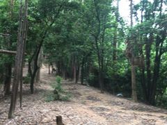 -火炉山森林公园