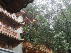 -大佛寺高级素食自助餐厅