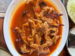 -红辣椒八爪鱼特色韩国料理
