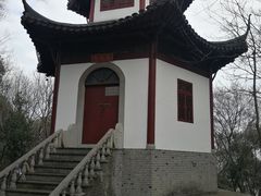 -上海佘山国家森林公园天马山园