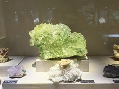 -河南自然博物馆