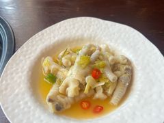 -滇野云南野生菌餐厅(陕西南路店)