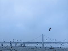 -星海广场