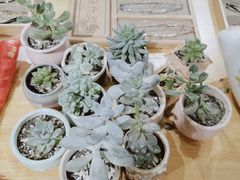 -肆兮眼镜·蔡司·徕卡战略合作店(大坪店)