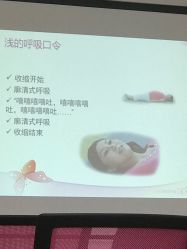-Your Yoga Pilates·瑜伽普拉提习练室